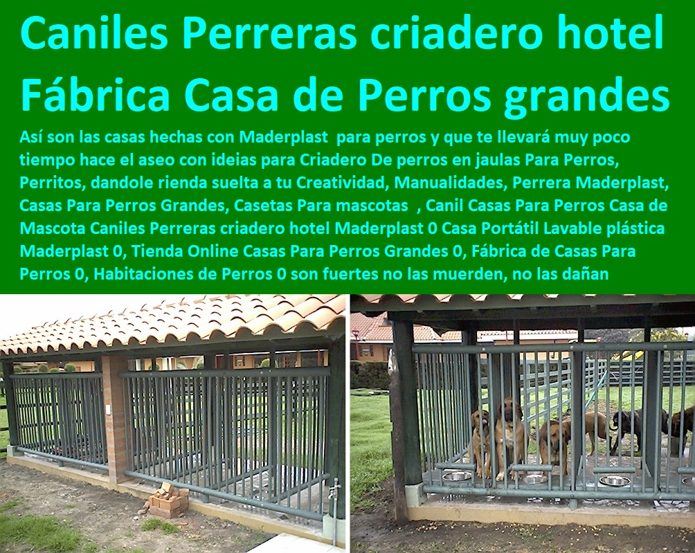 , Canil Casas Para Perros Casa de Mascota Caniles Perreras criadero hotel Maderplast 0 Agility De Perros, Pistas De Adiestramiento, Caninos Para Perros, Equipo De Agility Para Perros, Cunas Y Parideras Para Perros, Parques Para Perros, Corrales Para Perros, Jaulas cuidado de perros, Casas Para Perros Y Mascotas, Casa Portátil Lavable plástica Maderplast 0, Tienda Online Casas Para Perros Grandes 0, Fábrica de Casas Para Perros 0, Habitaciones de Perros 0 , Canil Casas Para Perros Casa de Mascota Caniles Perreras criadero hotel Maderplast 0 Casa Portátil Lavable plástica Maderplast 0, Tienda Online Casas Para Perros Grandes 0, Fábrica de Casas Para Perros 0, Habitaciones de Perros 0